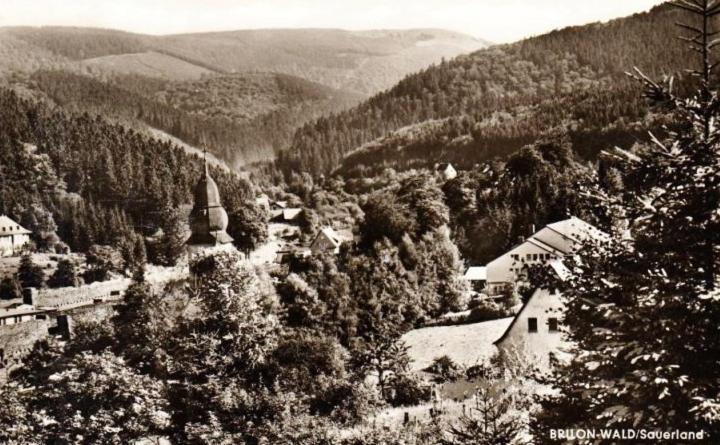 Die Hammerhuette Willingen  Exterior photo